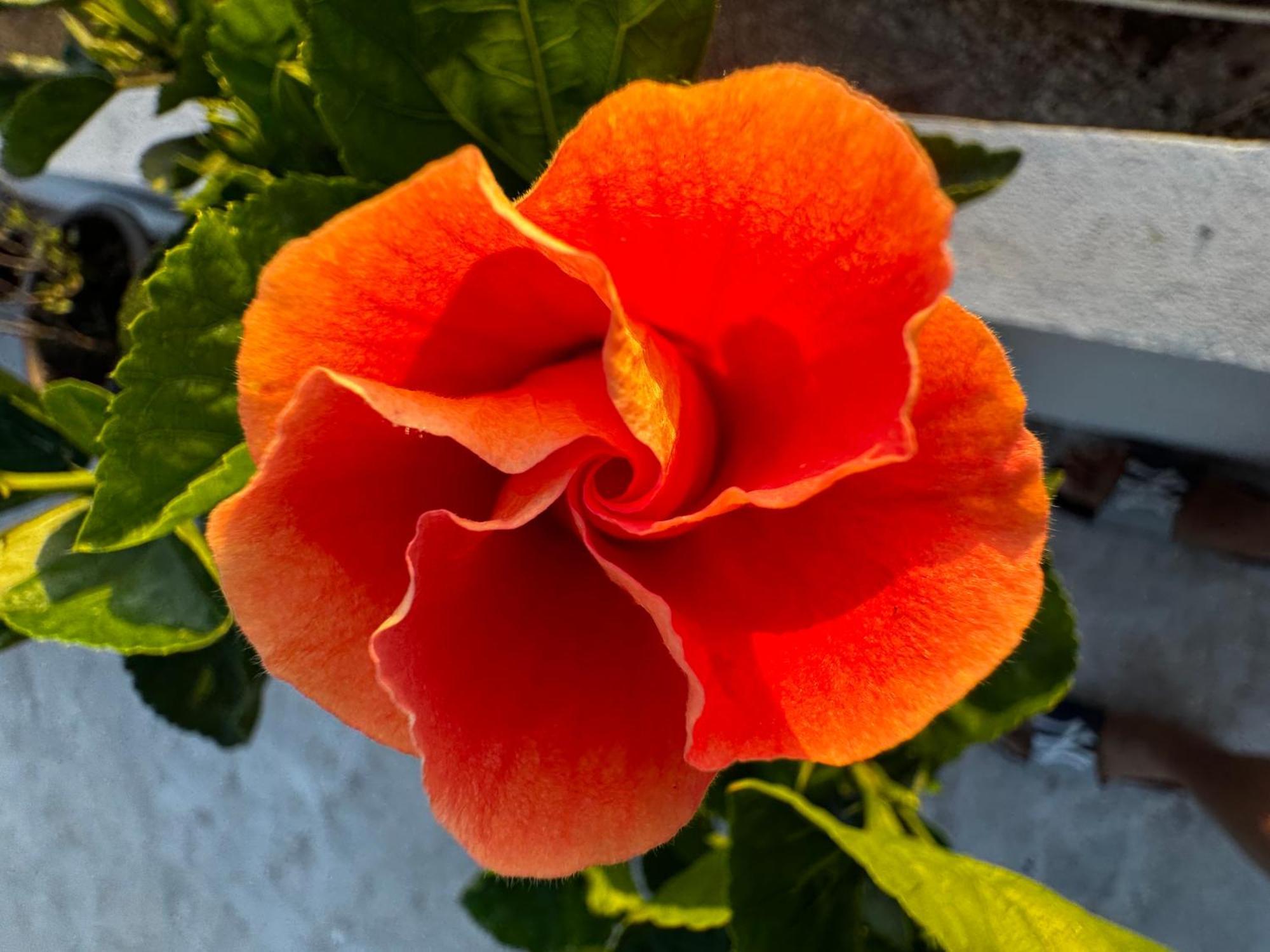 마사틀란 Casa Isla Marina Vista Al Mar 20 Personas 빌라 외부 사진
